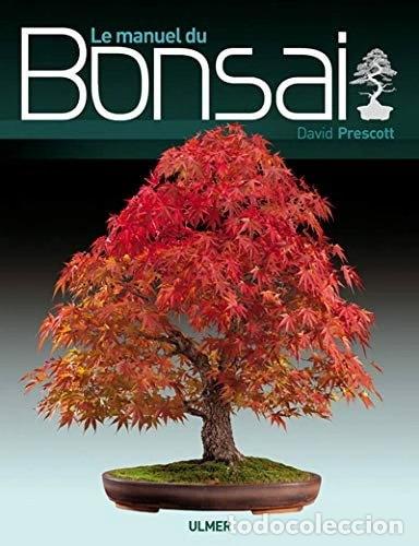 Libros: Le manuel du bonsa&iuml;- 9782841382163 - Foto 1