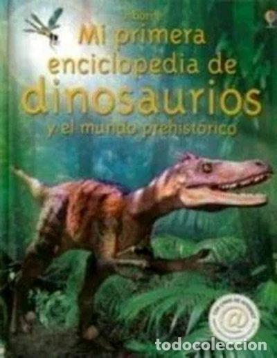 Livres: Mi primera enciclopedia de dinosaurios y el mundo prehist&oacute;rico- 9780746066386