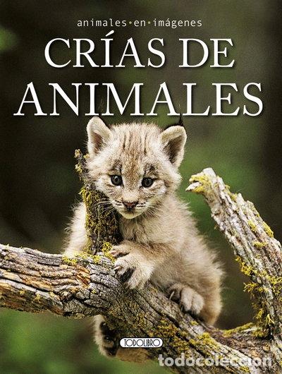 Libros: Cr&iacute;as de animales- 9788499135366 - Foto 1