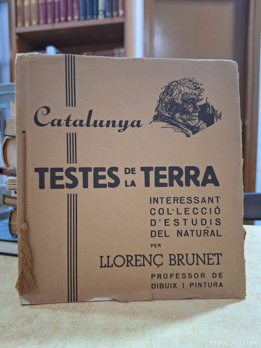 Libri di seconda mano: Catalunya. Testes de la Terra. Interessant col.lecci&oacute; d estudis del natural per Lloren&ccedil; Brunet, prof