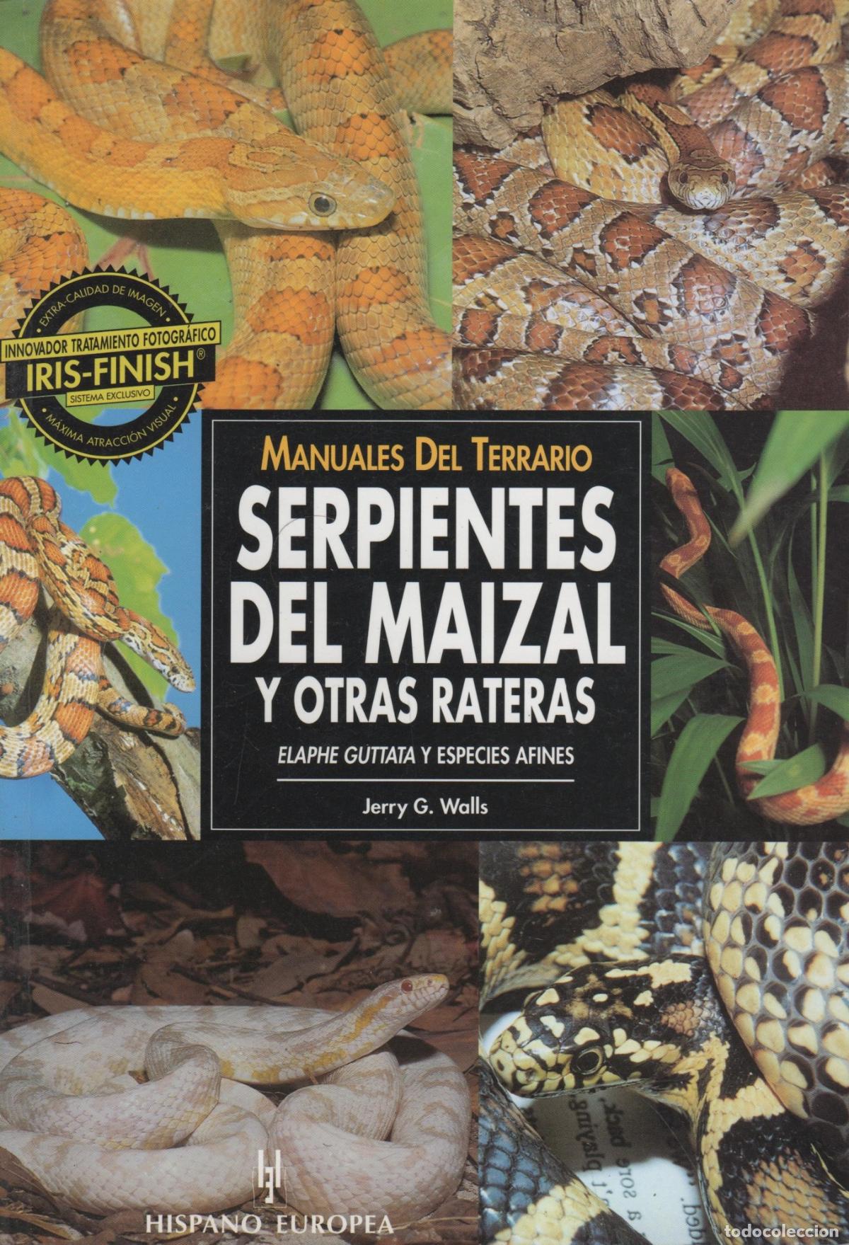 Livros em segunda m&atilde;o: SERPIENTES DEL MAIZAL Y OTRAS RATERAS Walls, Jerry G.- EDITORIAL: Editorial Hispano Europea -