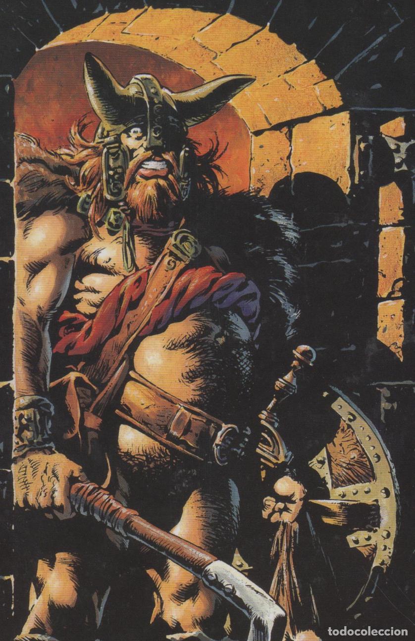 Libros: CR&Oacute;NICAS B&Aacute;RBARAS: LA FURIA DE LOS VIKINGOS MITTON, JEAN-YVES - EDITORIAL: YERMO EDICIONES -