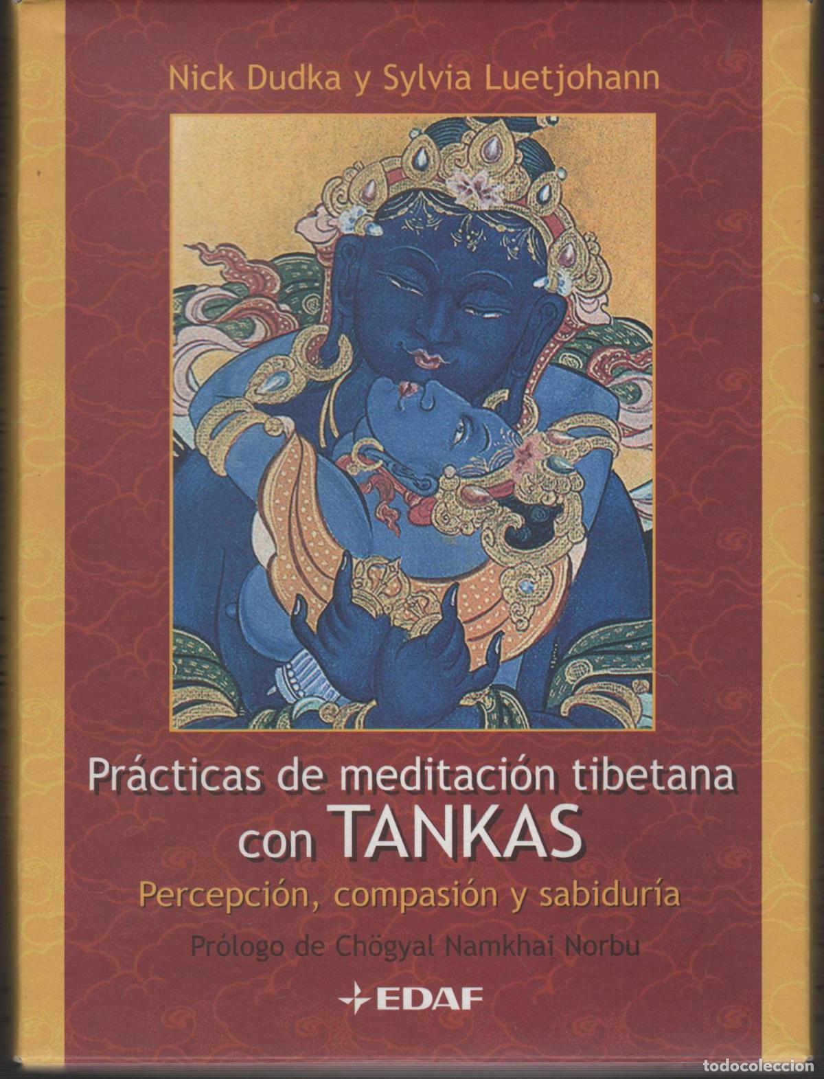 Libri di seconda mano: PR&Aacute;CTICAS DE MEDITACI&Oacute;N TIBETANA CON TANKAS. PERCEPCI&Oacute;N, COMPASI&Oacute;N Y SABIDUR&Iacute;A DUDKA, NICK / LUETJ