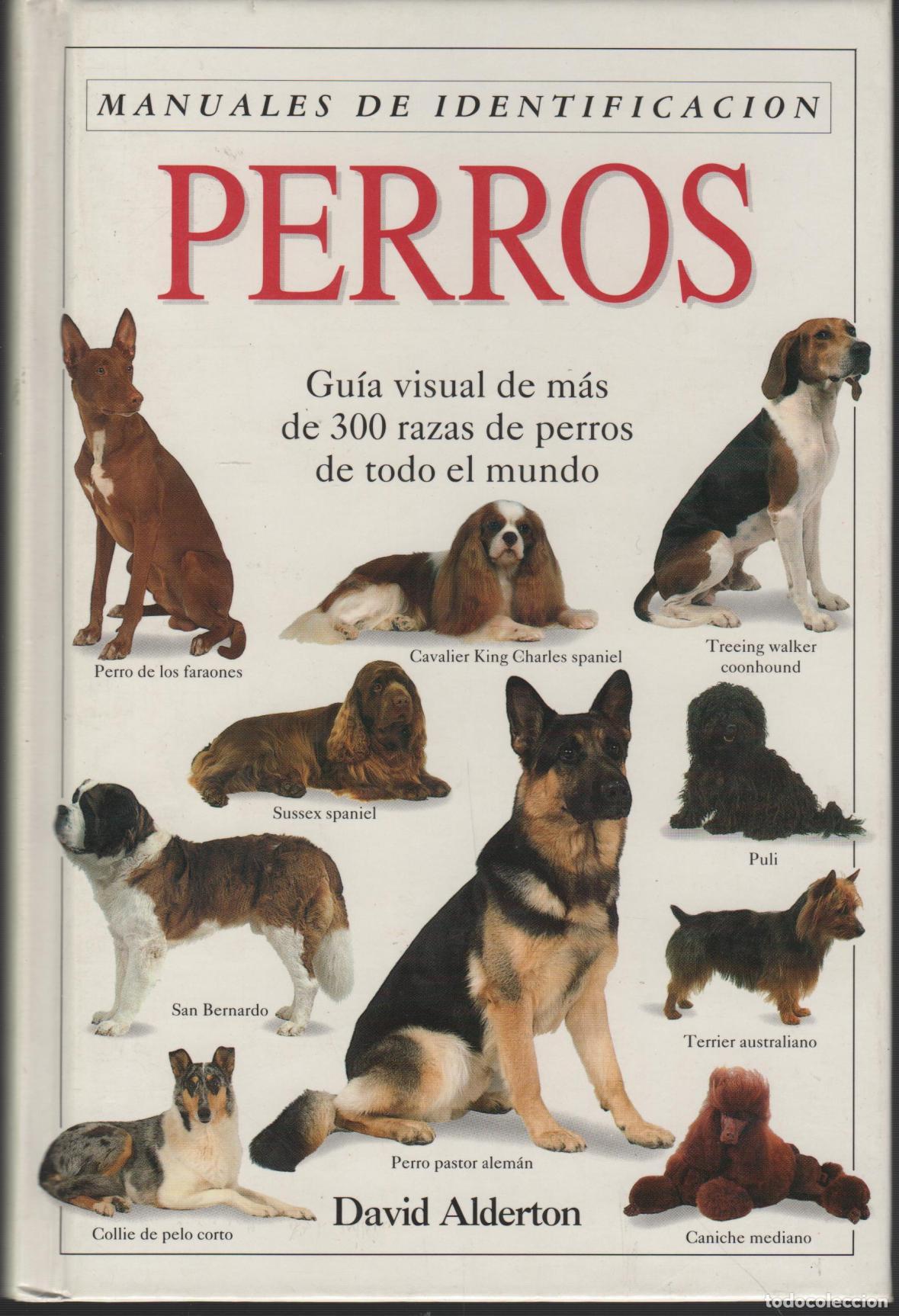 B&uuml;cher: PERROS : GUIA VISUAL DE MAS DE300 RAZAS DE PERROS DE TODO EL MUNDO ALDERTON, DAVID - EDITORIA