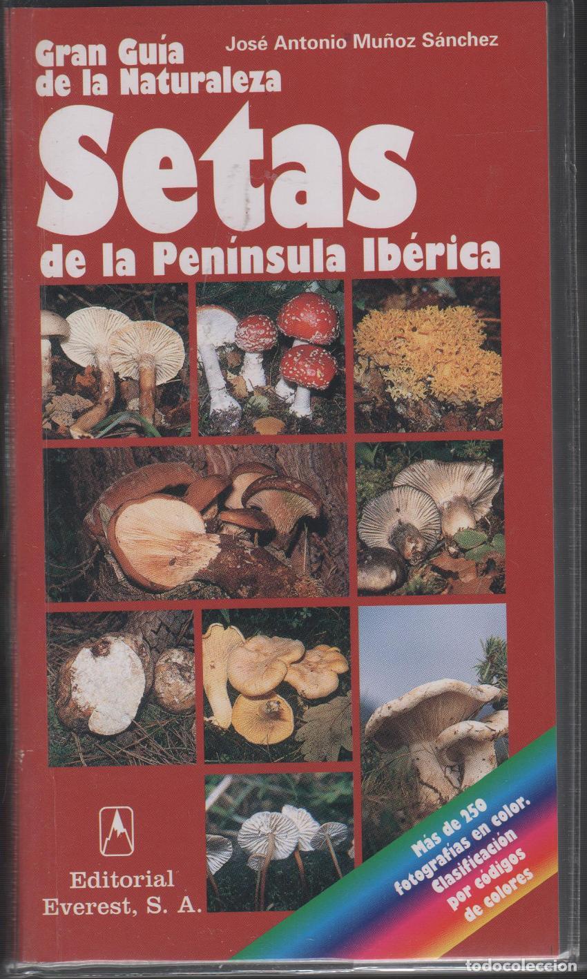 Livros em segunda m&atilde;o: SETAS DE LA PEN&Iacute;NSULA IB&Eacute;RICA MU&Ntilde;OZ SANCHEZ, JOSE ANTONIO- EDITORIAL: Everest - MU&Ntilde;OZ SANCHEZ