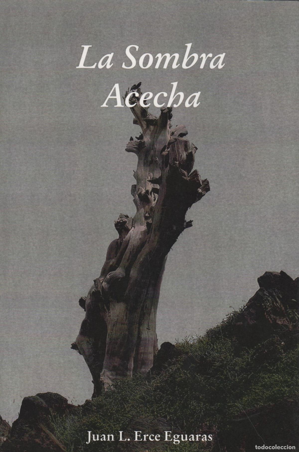 B&uuml;cher: La Sombra acecha: (13 relatos perturbadores) Juan Luis Erce Eguaras - EDITORIAL: FEHME - Juan
