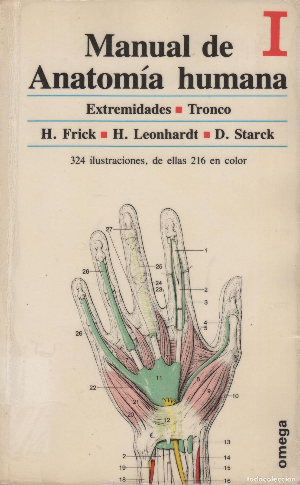 Livres: MANUAL DE ANATOM&Iacute;A HUMANA I: EXTREMIDADES. TRONCO H. FRICK / H. LEONHARDT / D. STARCK EDITORI