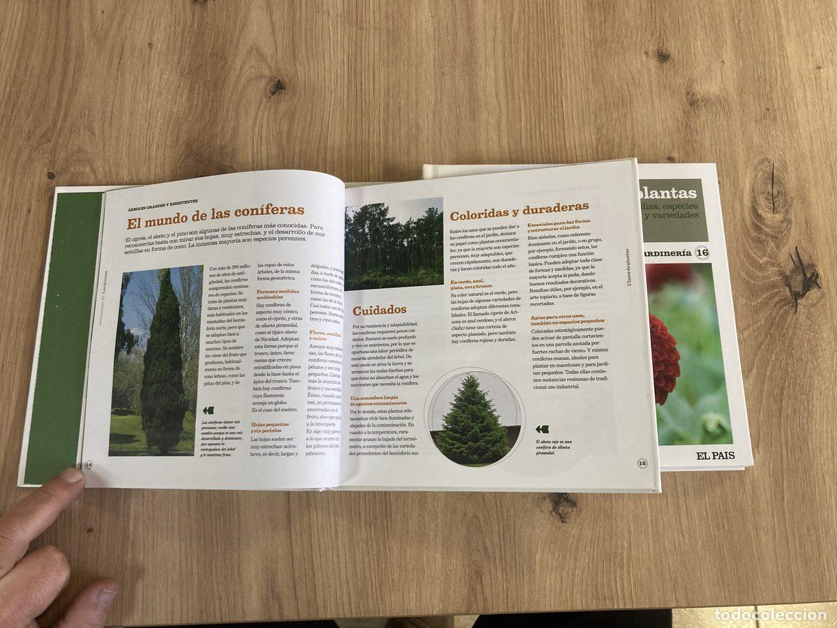 Libros: Lote 4 Todo para la casa El Pa&iacute;s - Foto 6