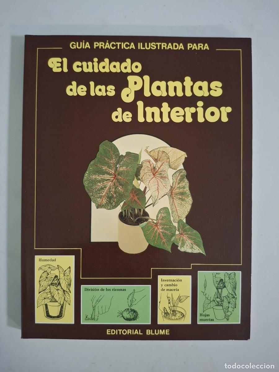 Livros em segunda m&atilde;o: LIBRO EL CUIDADO DE LAS PLANTAS DE INTERIOR