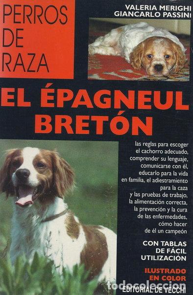 Libros: El Epagneul Breton- 9788431514808 - Foto 1
