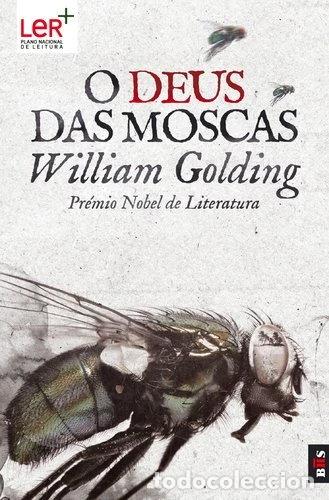 Libros: O Deus das Moscas- 9789896600709 - Foto 1