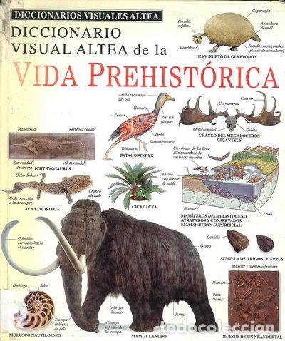 Libros: Diccionario visual de la vida prehist&oacute;rica- 9788437245560 - Foto 1