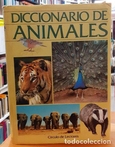 Libros: Diccionario de animales- 9788475831077 - Foto 1