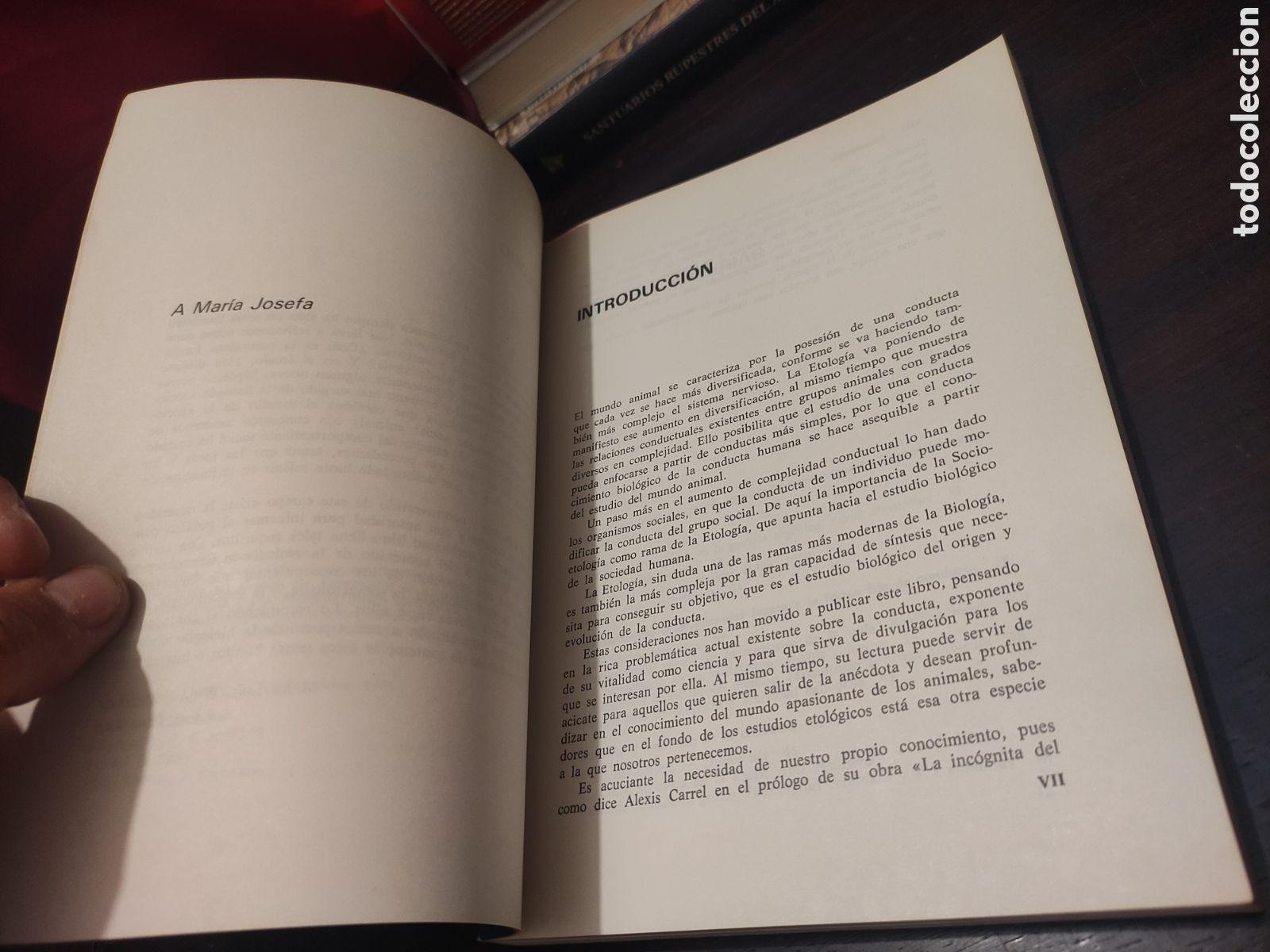 Libros: INTRODUCCI&Oacute;N A LA ETOLOG&Iacute;A - Andr&eacute;s de Haro - Foto 7