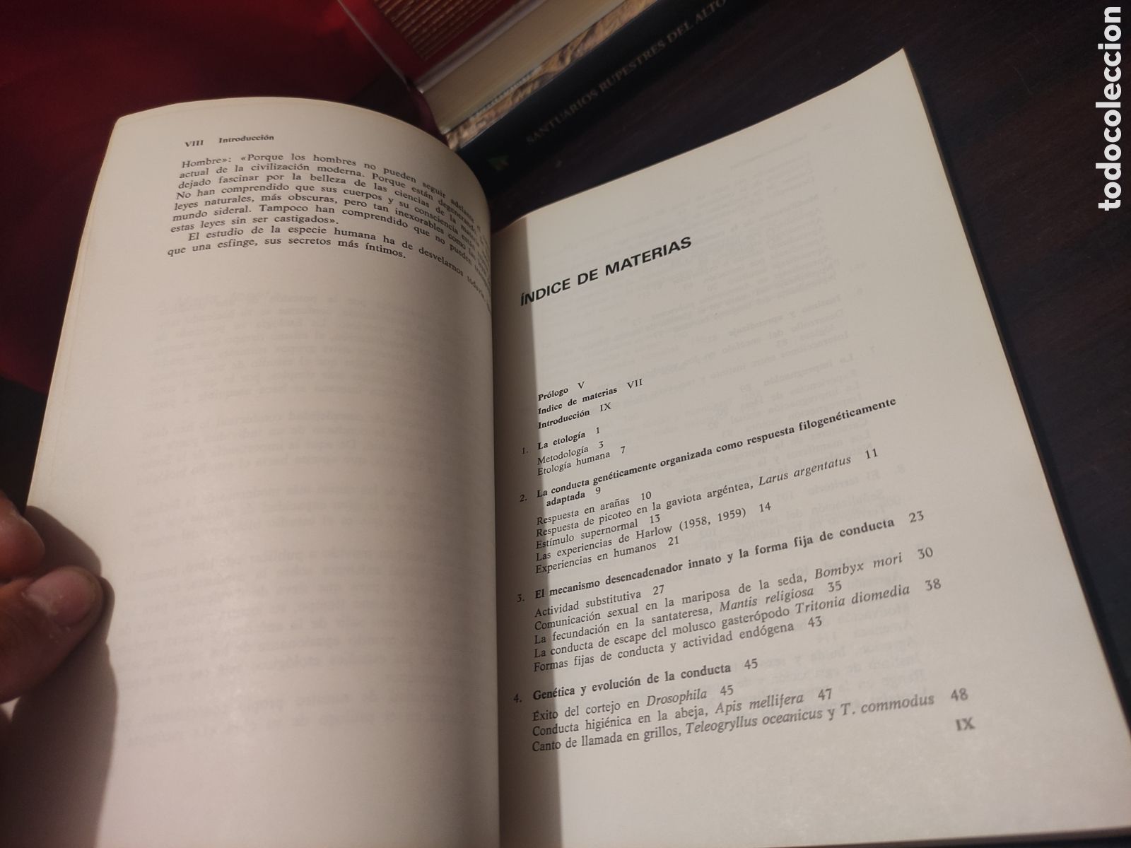 Libros: INTRODUCCI&Oacute;N A LA ETOLOG&Iacute;A - Andr&eacute;s de Haro - Foto 8