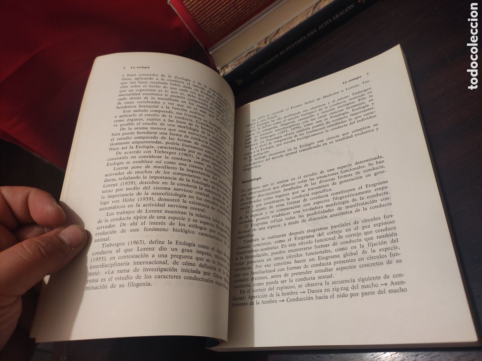 Libros: INTRODUCCI&Oacute;N A LA ETOLOG&Iacute;A - Andr&eacute;s de Haro - Foto 10