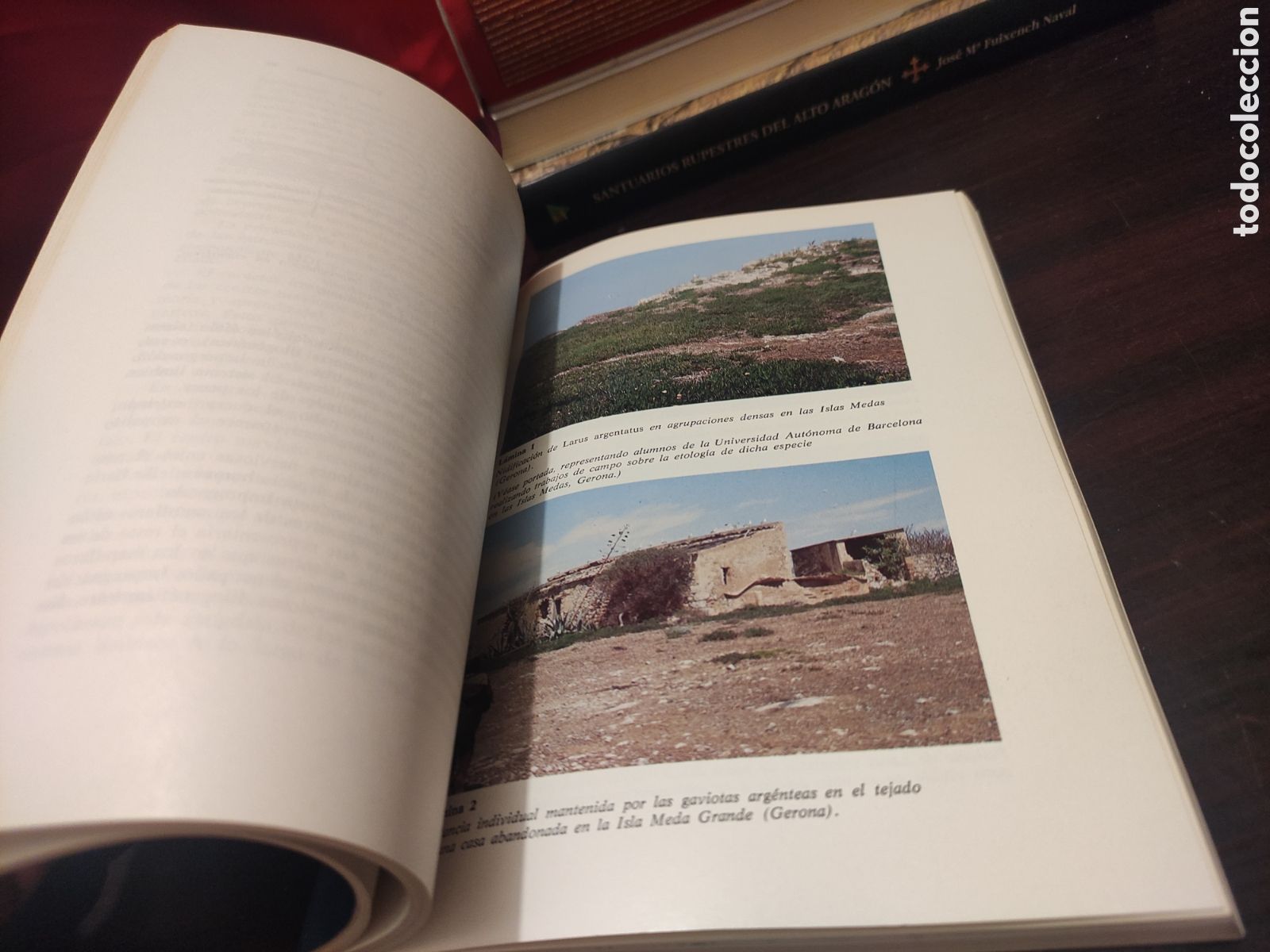 Libros: INTRODUCCI&Oacute;N A LA ETOLOG&Iacute;A - Andr&eacute;s de Haro - Foto 14