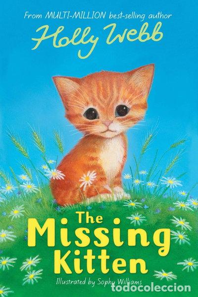 Libros: The Missing Kitten- 9781847153661 - Foto 1