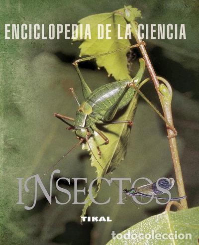 Libros: Insectos- 9788492678310