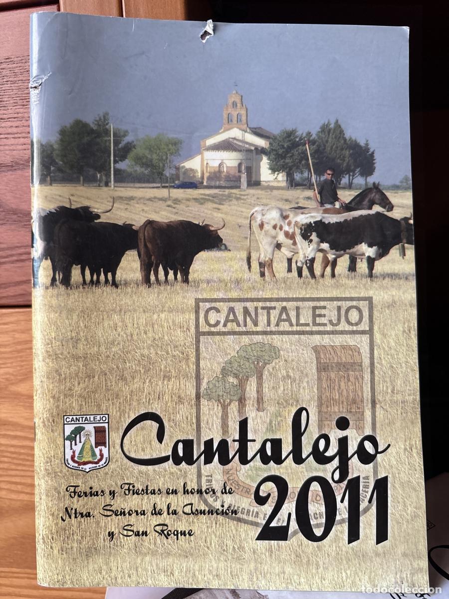 Libros: CANTALEJO. PROGRAMA OFICIAL DE FIESTAS NTRA SRA DE LA ASUNCION Y SAN ROQUE 1997 - TDK723A