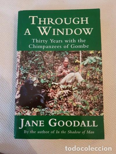 Libros: Through a Window: Thirty Years with the Chimpanzees of Gombe- 9780753810217