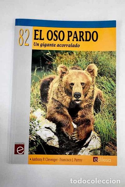 Libros: El oso pardo- 9788480125628 - Foto 1