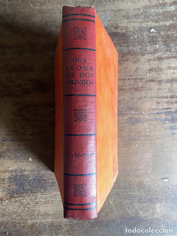 Libri di seconda mano: Una leona de dos mundos - Adamson J.