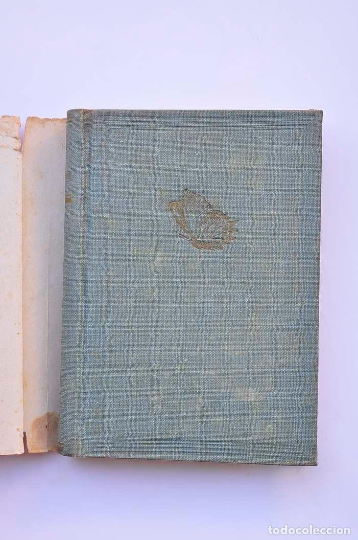 Libros: La Papallona - OLLER, Narc&iacute;s - Foto 2