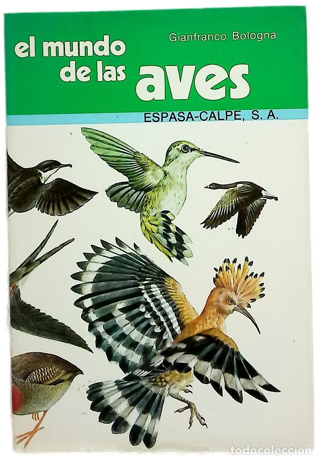 Libri di seconda mano: El Mundo De Las Aves - Bologna, Gianfranco