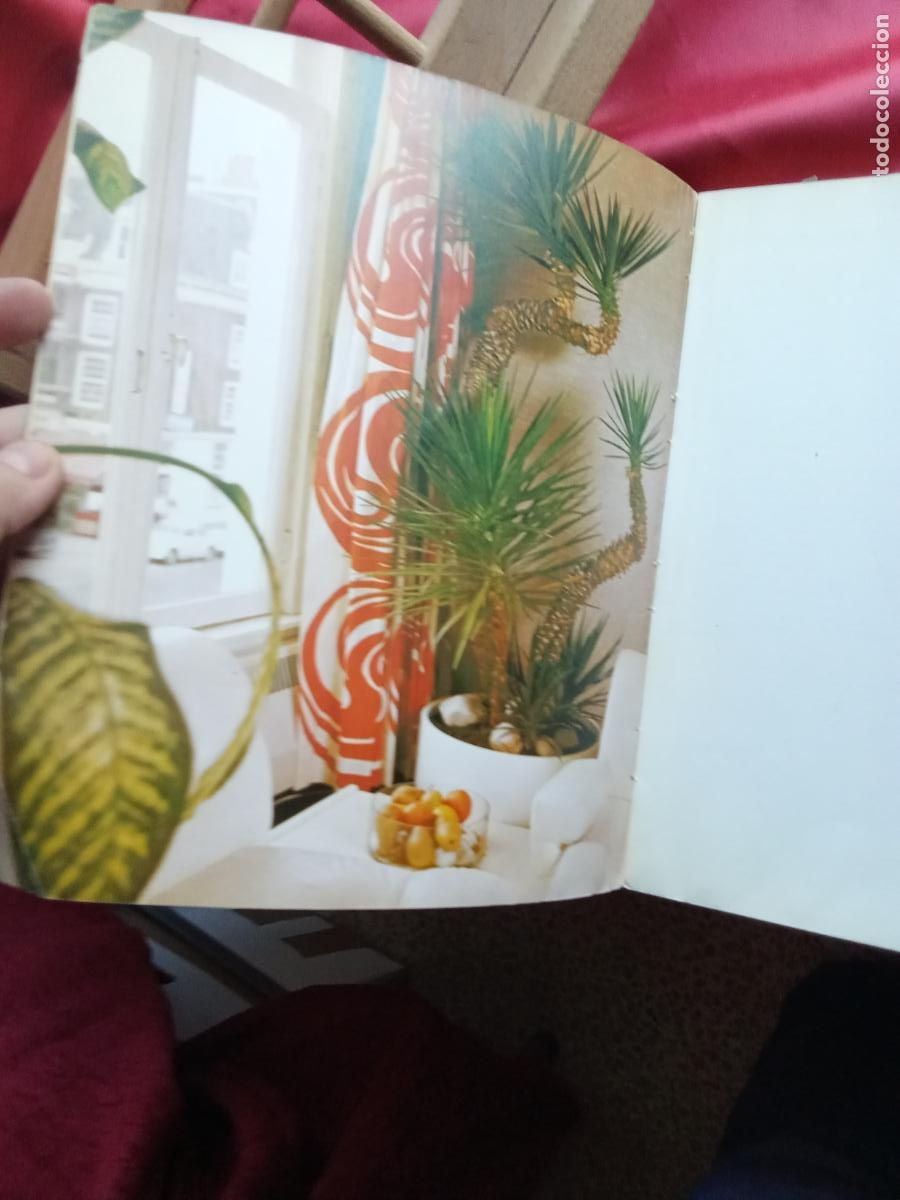 Libros: Plantas de interior. Rob Herwig L.16184-2216 - Foto 3