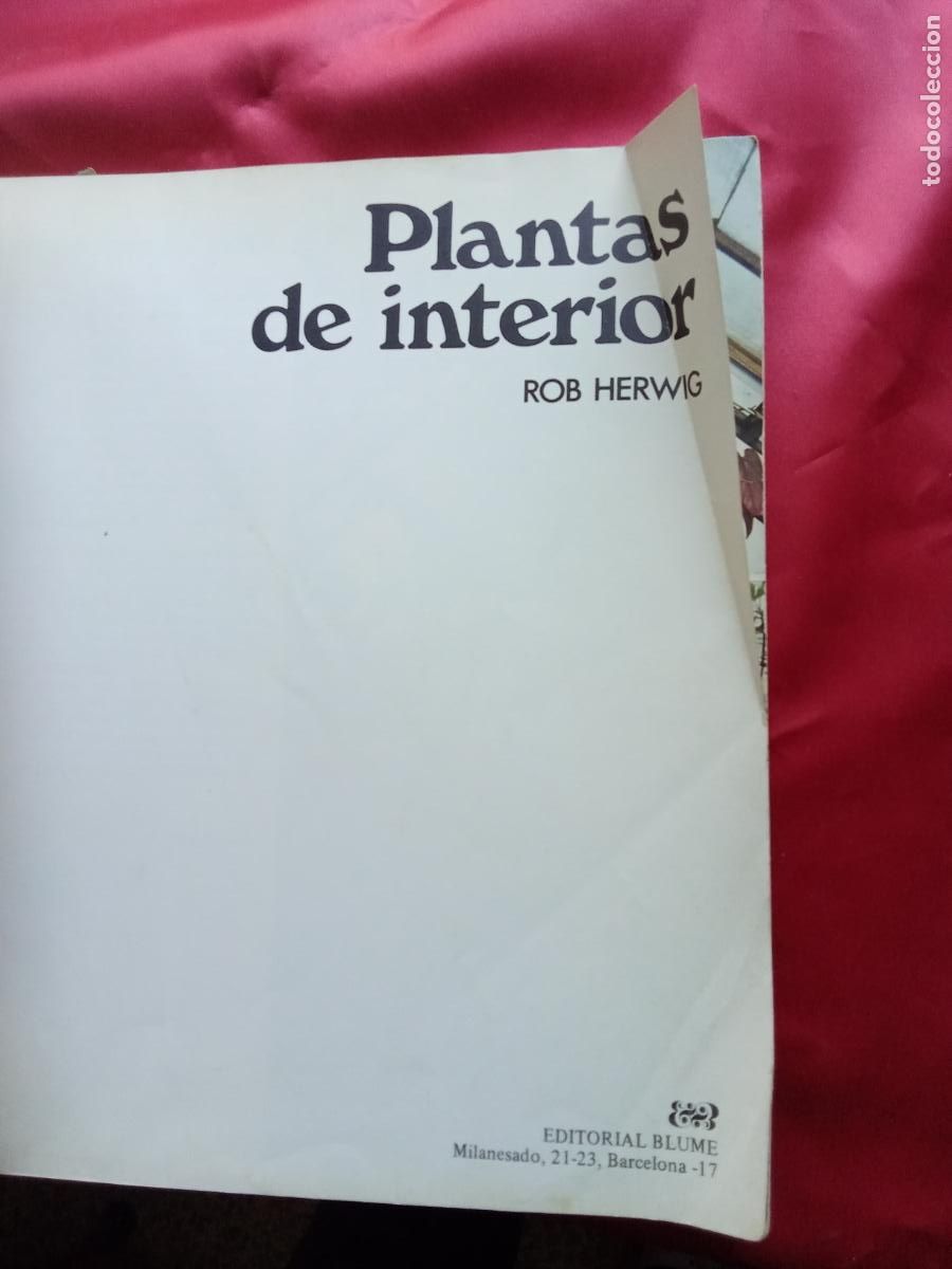 Libros: Plantas de interior. Rob Herwig L.16184-2216 - Foto 4