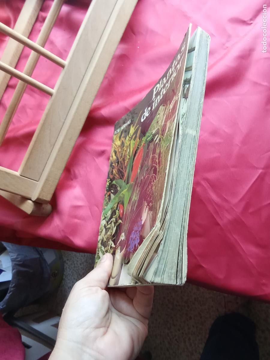 Libros: Plantas de interior. Rob Herwig L.16184-2216 - Foto 5