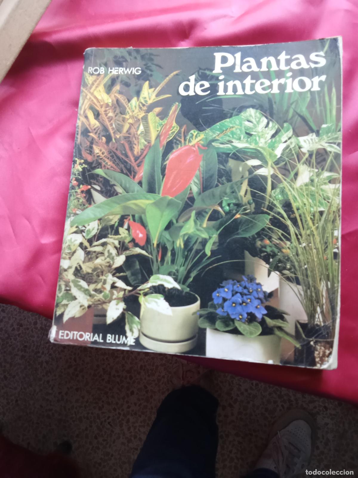 Libros: Plantas de interior. Rob Herwig L.16184-2216 - Foto 1