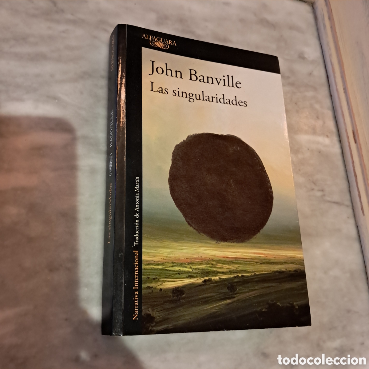 books: John Banville, Las.singularidades Alfaguara
