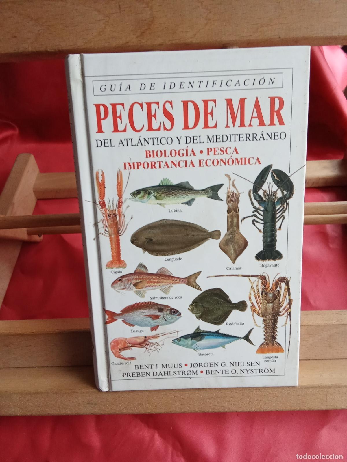 Libros: Peces de mar. Bent J. Muus y otros autores L.4364-1842
