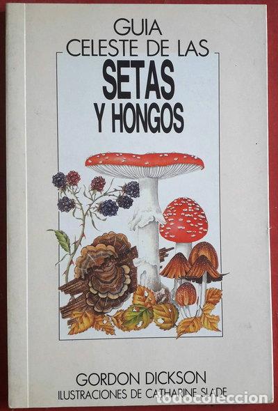Libri di seconda mano: Gu&iacute;a Celeste de las Setas y Hongos de Europa- 9788487553097