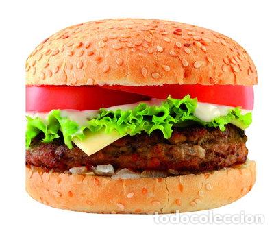 Livros em segunda m&atilde;o: Hamburguesas: Las mejores recetas- 9788427039971