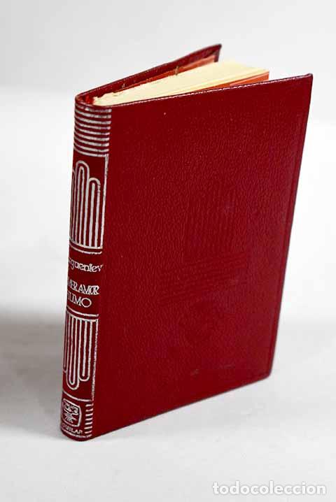 B&uuml;cher: Humo ; Primer amor: Turgueniev, Ivan.- Turgueniev, Ivan