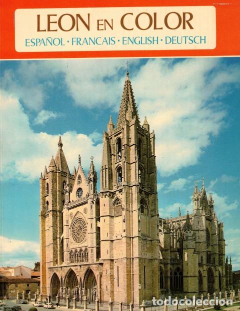 books: LEON EN COLOR (Espa&ntilde;ol, francais, english, deutsch) - Roche Navarro, Antonio.