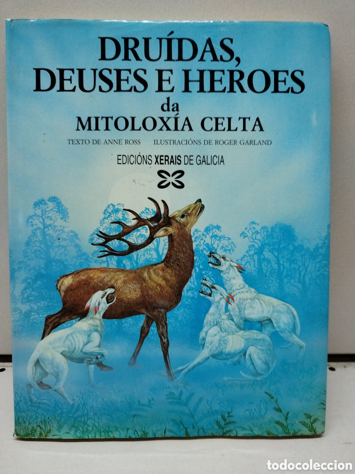 B&uuml;cher: Dru&iacute;das, deuses e heroes da mitolox&iacute;a celta - Ross, Anne