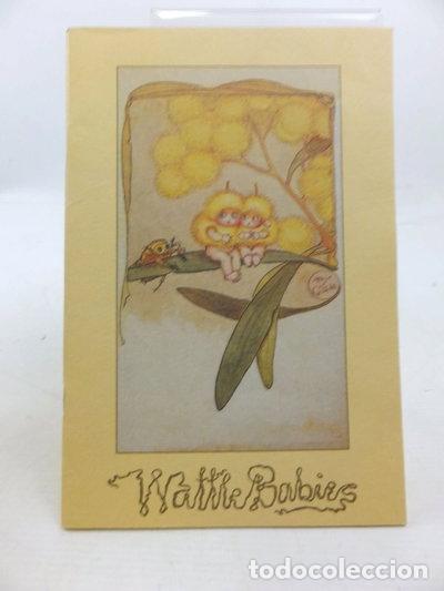 Libros: Wattle Babies- 9780207145872 - Foto 1