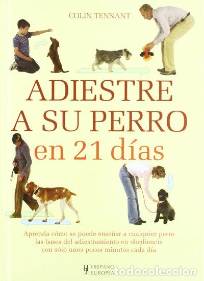 Libros: Adiestre a su perro en 21 d&iacute;as- 9788425517570