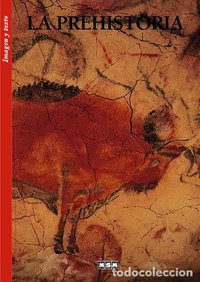 Libros: La Prehistoria- 9782350800318 - Foto 1