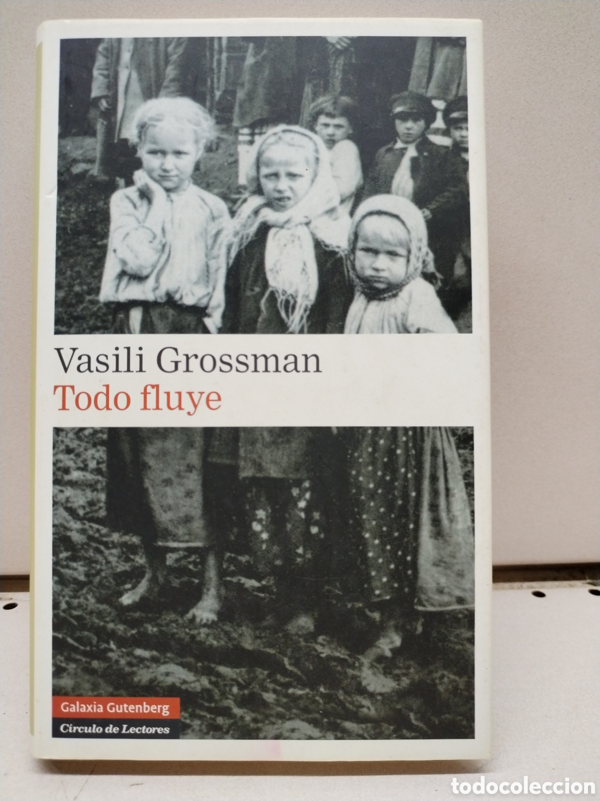 Todo fluye - Grossman, Vasili