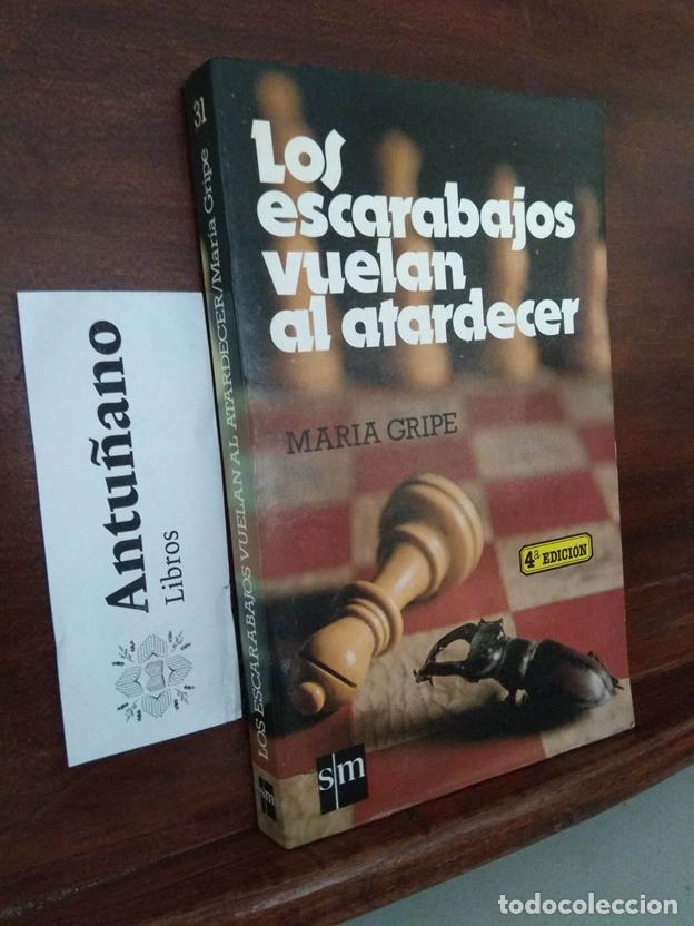 Libros: Los escarabajos vuelan al atardecer - Foto 1