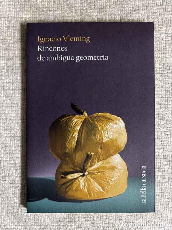 B&uuml;cher: Rincones de ambigua geometr&iacute;a - Ignacio Vleming