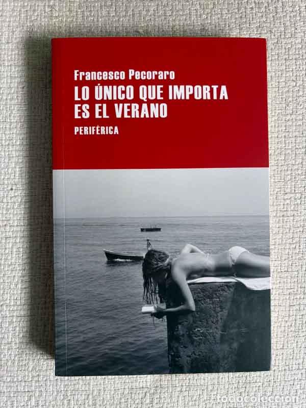 Libri di seconda mano: Lo &uacute;nico que importa es el verano - Francesco Pecoraro