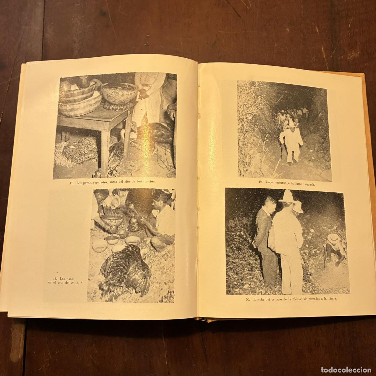 Libros: Los mayas eternos - Rafael Girard - Foto 3
