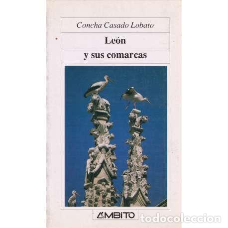 B&uuml;cher: Le&oacute;n y sus comarcas - Mar&iacute;a Concepci&oacute;n Casado Lobato
