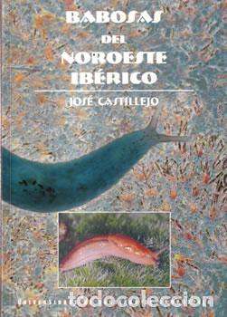 B&uuml;cher: Babosas del noroeste ib&eacute;rico - Jos&eacute; Castillejo